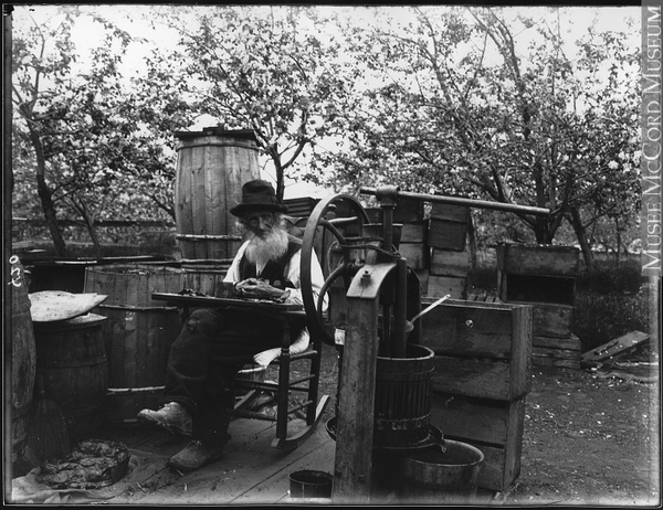 Titre original&nbsp;:  Photograph Francis Peabody Sharp saving apple seeds, Woodstock, NB, 1901 Edwin Tappan Adney 1901, 20th century Silver salts on glass - Gelatin dry plate process 16 x 21 cm MP-1979.111.108 © McCord Museum Keywords:  outdoor (47) , Photograph (77678) , portrait (53878)